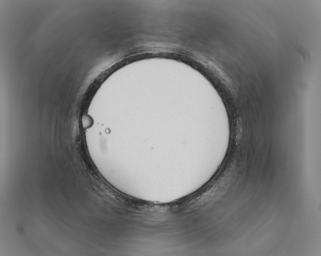 X0000111221261200907301218