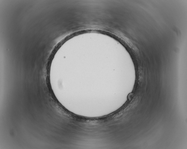 X0000111221264200907301218