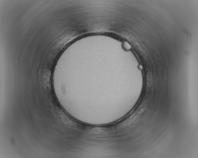 X0000111221265200907301218