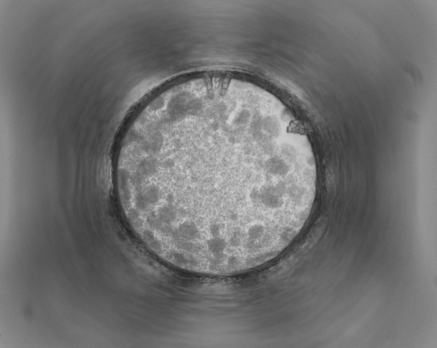 X0000111221267200907301218
