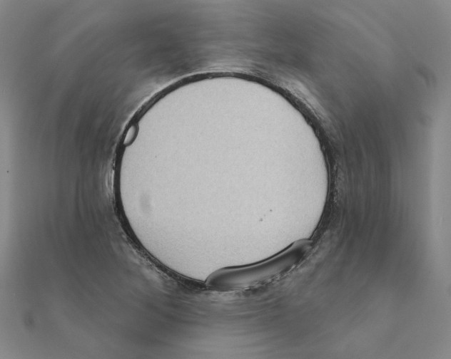 X0000111221268200907301218