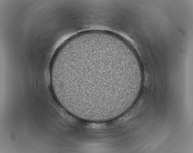X0000111221271200907301218