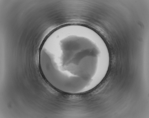 X0000111221275200907301217