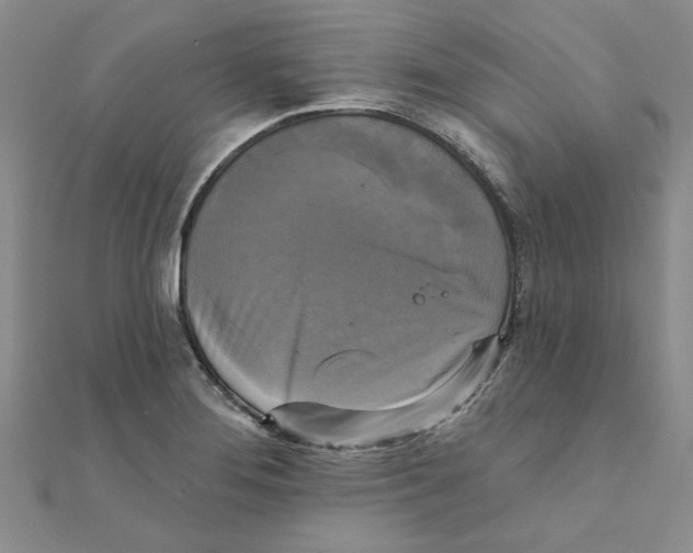 X0000111221276200907301217