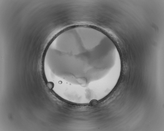 X0000111221279200907301217