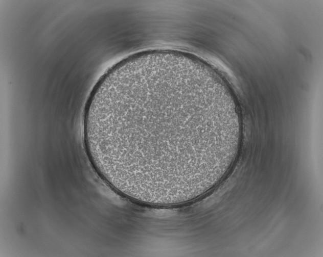 X0000111221280200907301217