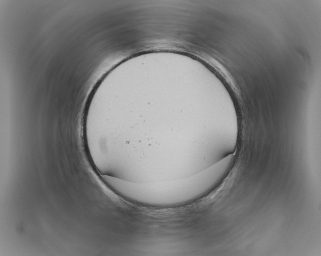 X0000111221285200907301217