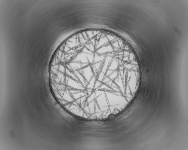X0000111221287200907301217