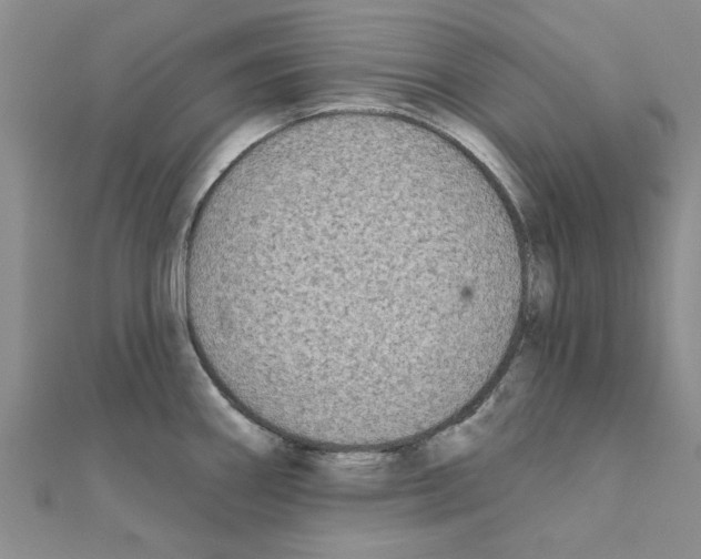 X0000111221290200907301217