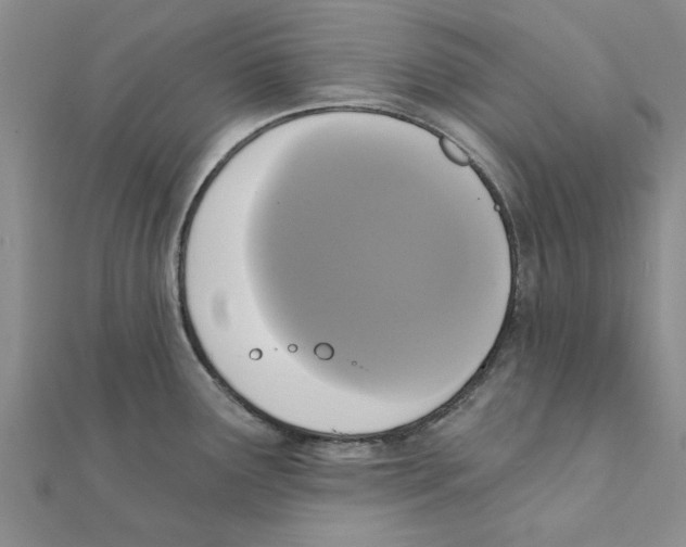 X0000111221291200907301217