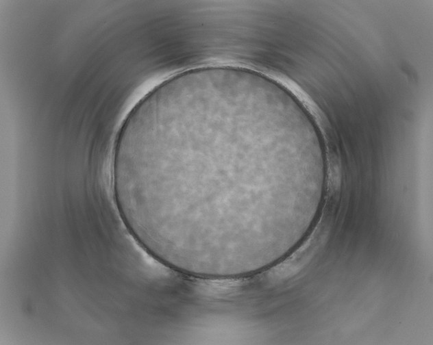 X0000111221294200907301217
