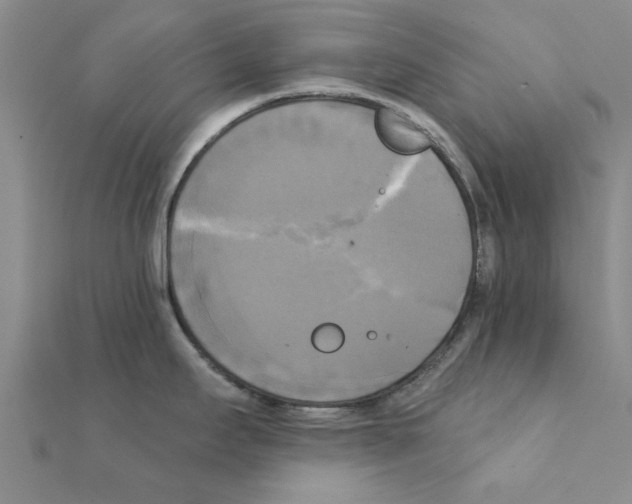 X0000111221295200907301217