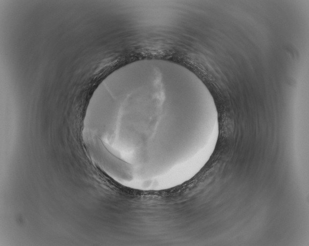 X0000111221297200907301217