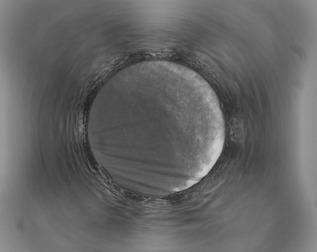 X0000111221298200907301217