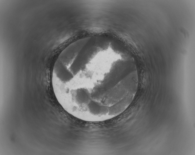 X0000111221301200907301217