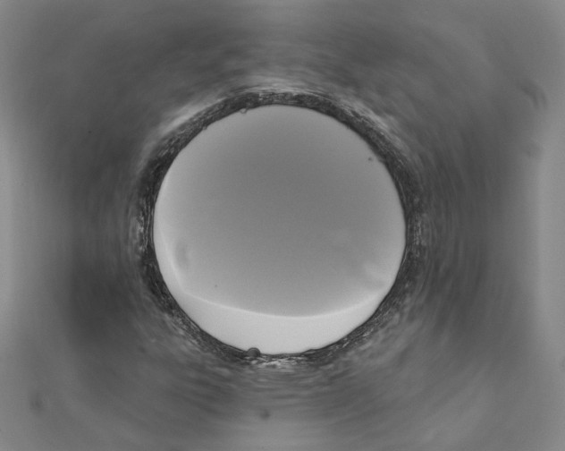 X0000111221303200907301217