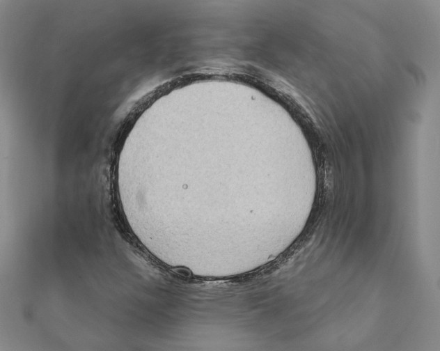 X0000111221304200907301217