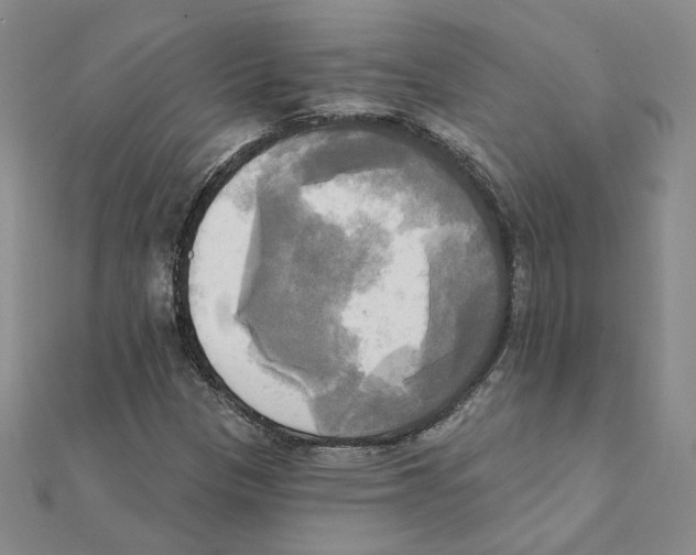X0000111221305200907301217