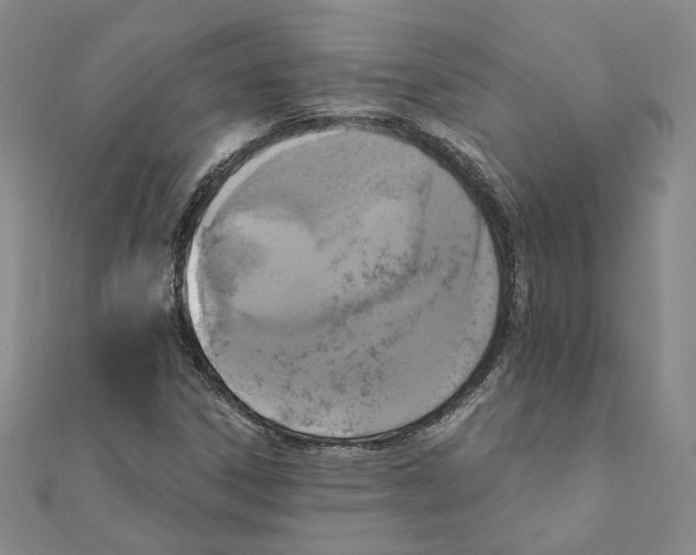 X0000111221306200907301217