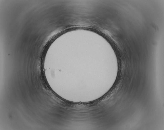 X0000111221307200907301217