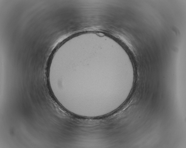 X0000111221308200907301217
