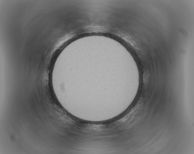 X0000111221309200907301217