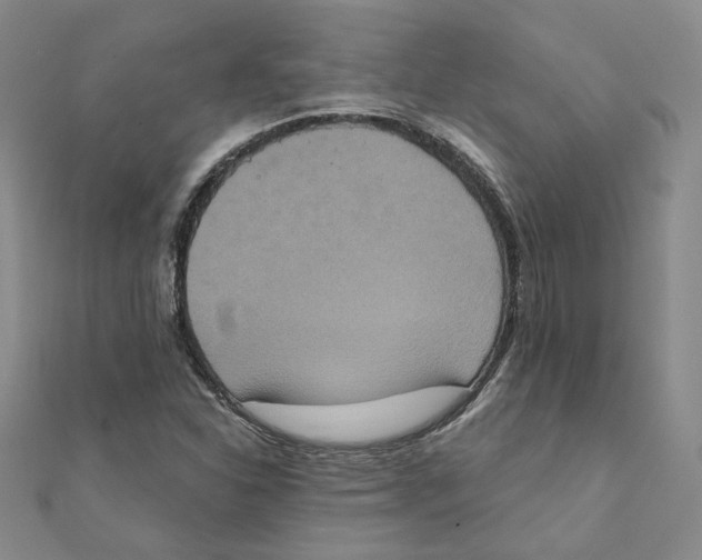 X0000111221310200907301217