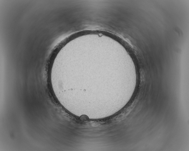 X0000111221311200907301217