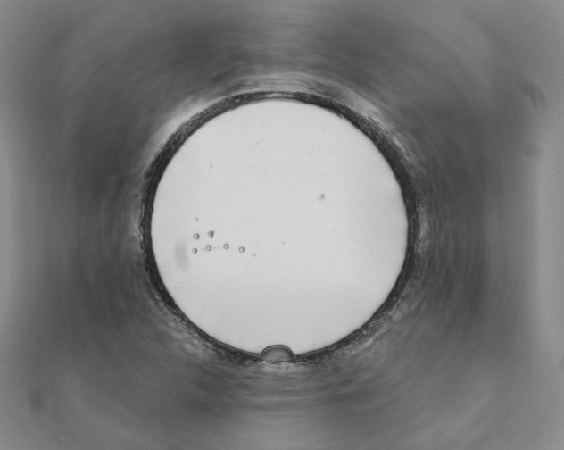 X0000111221312200907301217
