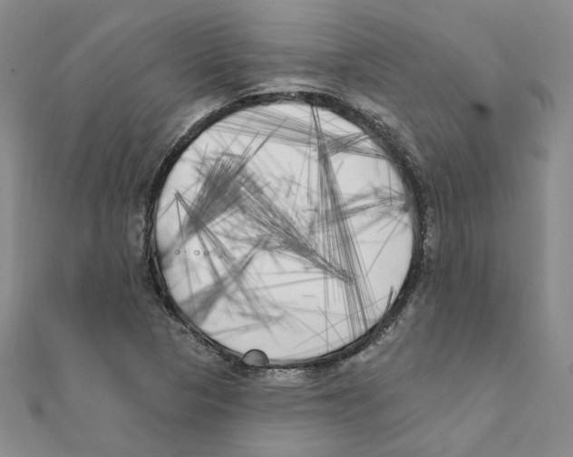 X0000111221313200907301217