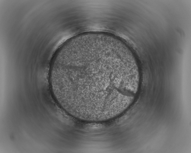 X0000111221314200907301217