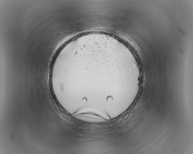 X0000111221316200907301217
