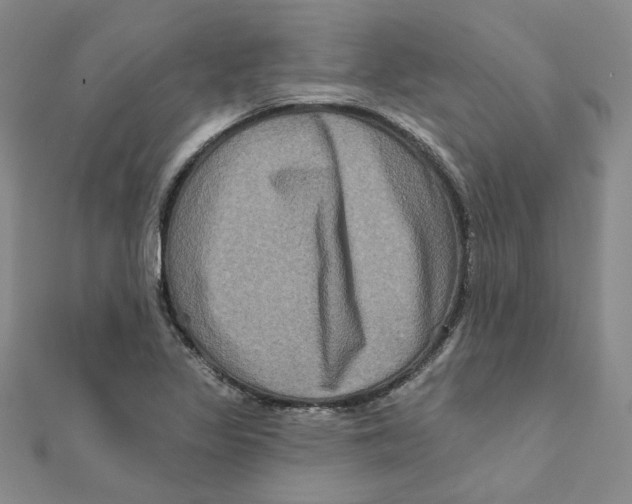 X0000111221317200907301217