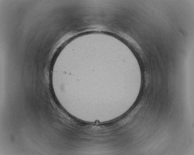 X0000111221318200907301217
