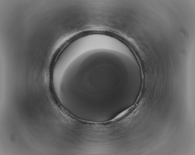 X0000111221319200907301217