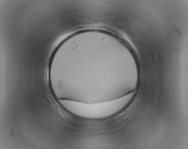 X0000111221320200907301217