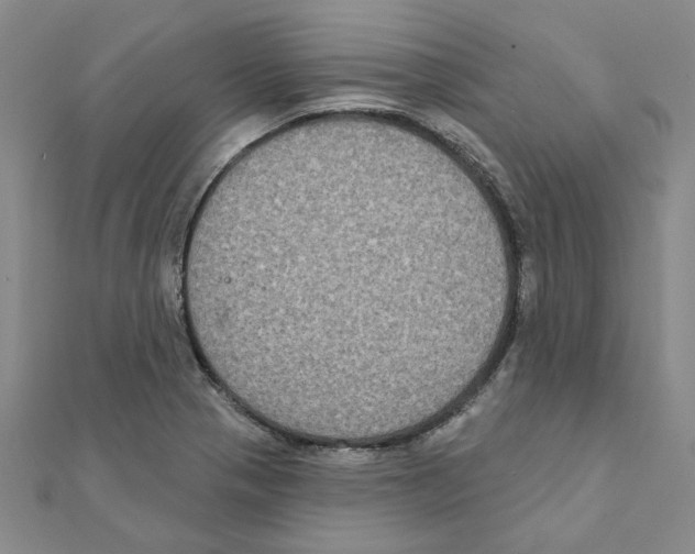 X0000111221321200907301217