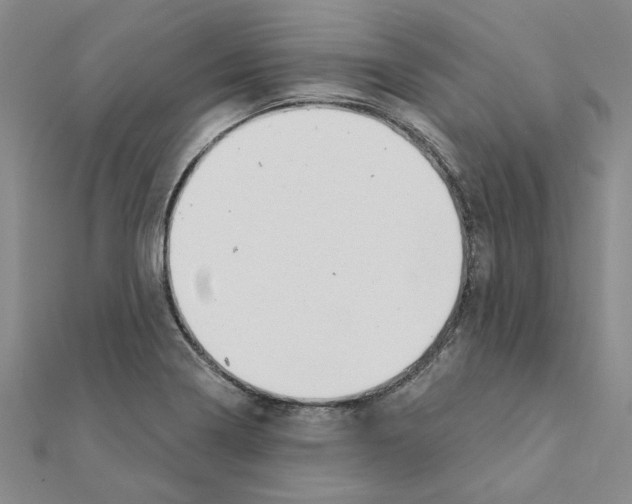 X0000111221322200907301217
