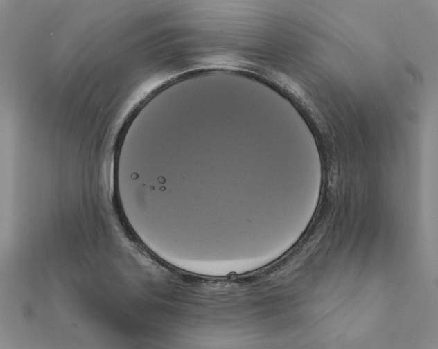 X0000111221323200907301217