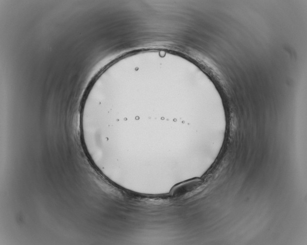 X0000111221324200907301217