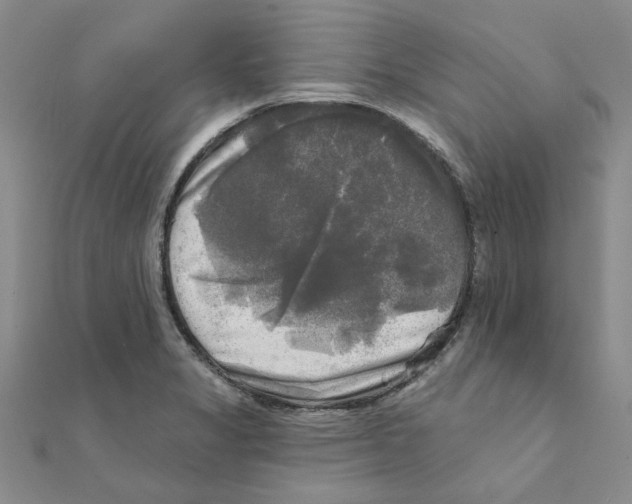 X0000111221325200907301217