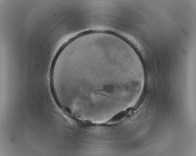 X0000111221327200907301217