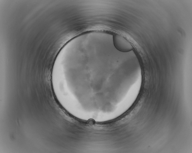 X0000111221329200907301217