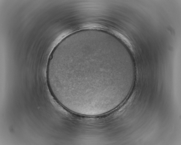 X0000111221330200907301217