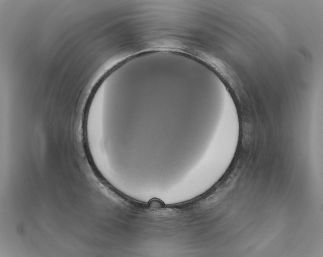 X0000111221331200907301217