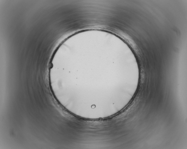 X0000111221332200907301217