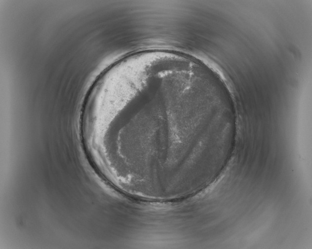 X0000111221333200907301217