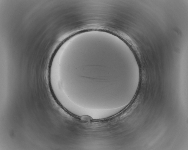X0000111221334200907301217