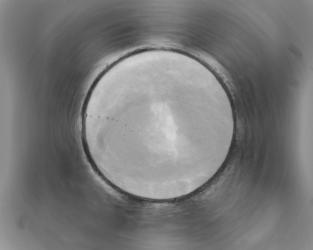 X0000111221335200907301217