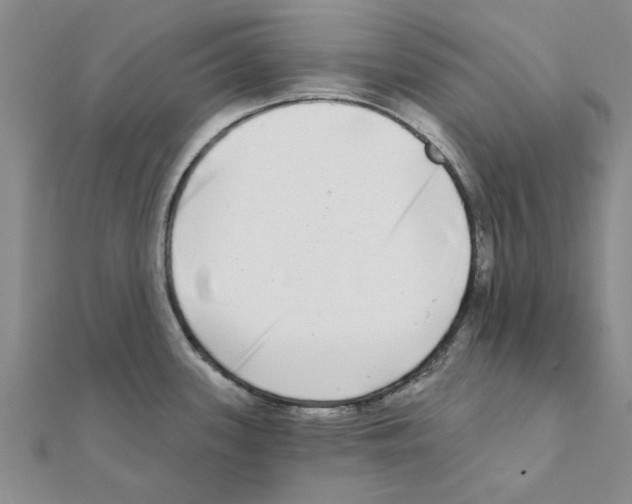 X0000111221339200907301217